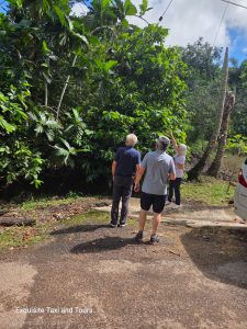 WhatsApp Image 2026-02-02 at 11.46.21 PM