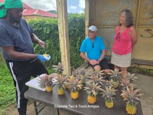 WhatsApp Image 2026-02-03 at 5.50.36 PM