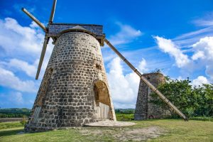 WhatsApp Image 2026-02-03 at 7.46.13 PM