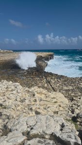 WhatsApp Image 2026-02-03 at 8.14.10 PM