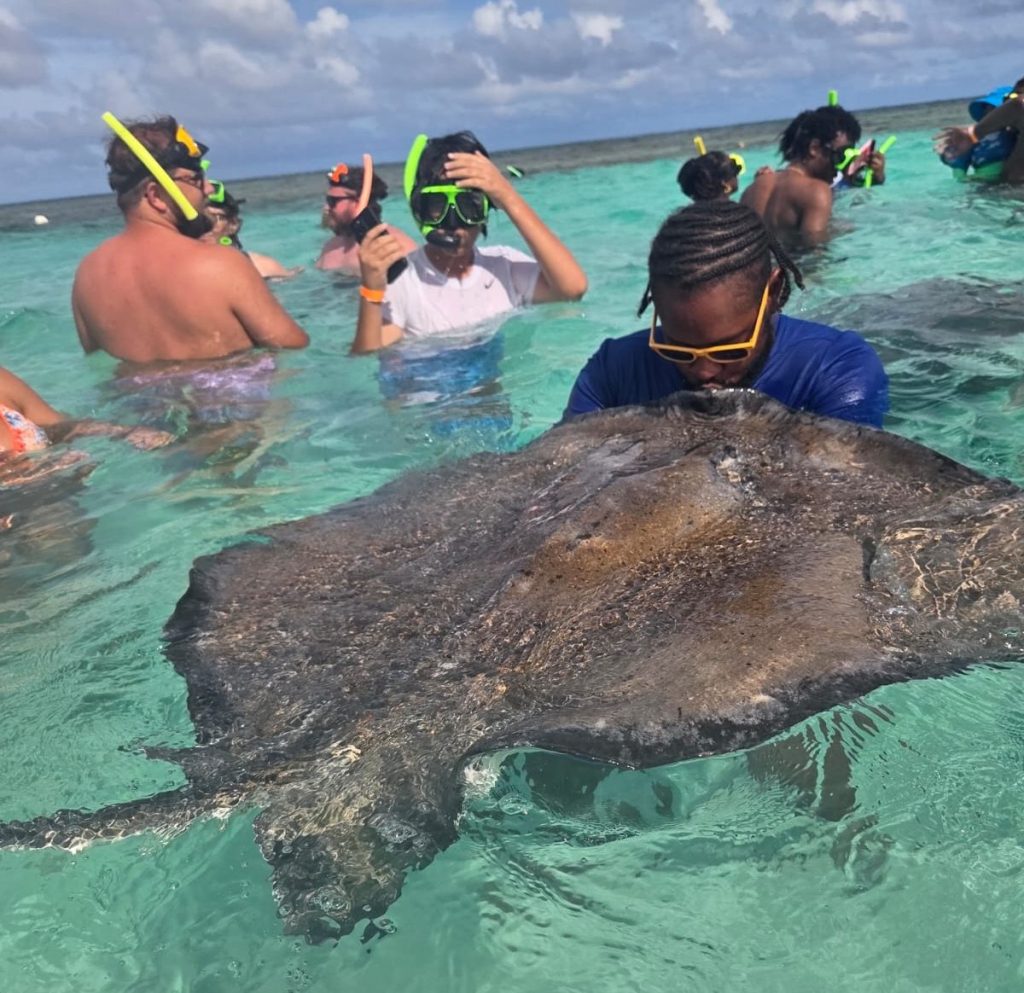 Guest swimming with the stingrays in Antigua