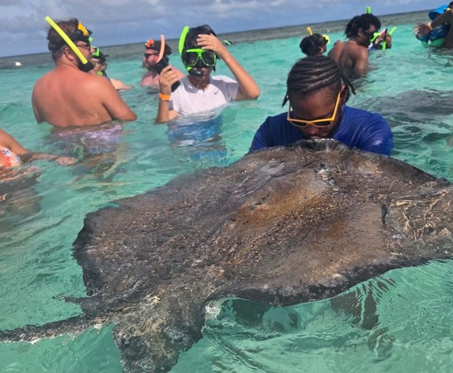 Guest swimming with the stingrays in Antigua